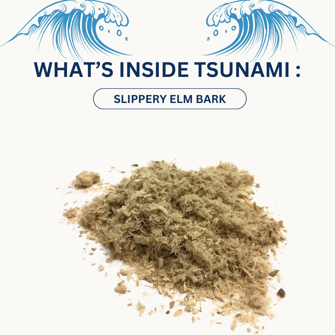 Tsunami Gummies